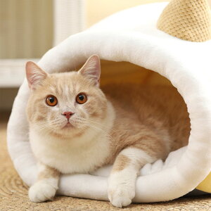 h[nEX ybg Lp 􂦂 nEX ACXN[^ h[ H ~ ybg CG[  xbh L Hp ~p ybgxbh h[^ ^ ۉh ~ K  t