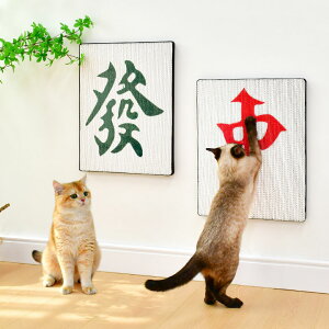 Lp Ǌ|  g2WAY  L Lp ܂Ƃ  ܌ _{[ }[W i{[ L܂Ƃ ܖ ǂɓ\ ܂Ƃ{[h  |