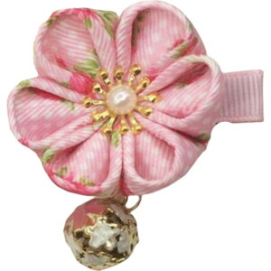 wANbv LbY fB[X wAANZT[   t[ a   a a  킢 wAAW bh sN u[ p[v   