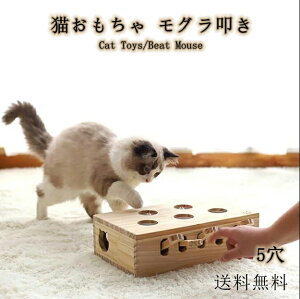 L  L炵 ؐ O@ lR ˂̂ }EX lY~ mߋ ŗVԍDS 炽 ^s XgX