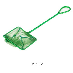 Ϗ܋p  plbg tBbVlbg  ANAEpi ׂ ybgp lp O[ bV | Mы  eiX