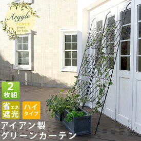 楽天市場 グリーンカーテン アイビーの通販 楽天市場 グリーンカーテン アイビーの通販
