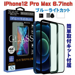 KXtB iPhone12ProMax Ή u[CgJbg tJo[ u[CJbg 3D S tJo[ KX tB tی AGCɎq fގgp dx9H glass-film-274