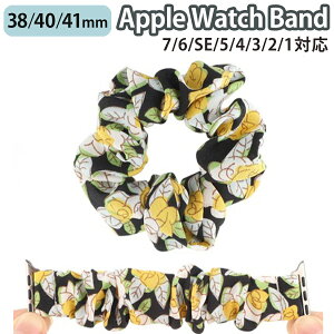 applewatch 38mm 40mm 41mm oh xg XCh VV^Cv Lk tBbg t@bV JWA  t[ ԕ CG[ Applewatch series 9/8/7/6/SE/5/4/3/2/1 Ή