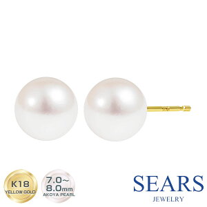 sAX fB[X ^ K18 18 S[h1 X^bh AR^ VA[Y Sears  av[g