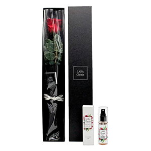 yő3~OFFN[|bubNtCf[zNXeB[ vU[uht[ KN  C[Y IׂMtgZbg nhN[ {fB~Xg lf52-lcs91-0001 LARA Christie