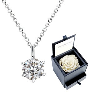 lbNX fB[X ꗱL[rbNWRjA vU[uht[ {bNXZbg Sears (VA[Y)  av[g