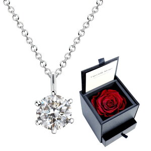 lbNX fB[X ꗱL[rbNWRjA vU[uht[ {bNXZbg Sears (VA[Y)  av[g