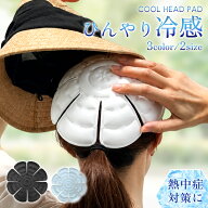 【クーポンで981円♪楽天スーパーセール】【オリジナル新色入荷中】クールヘッドパッド 帽子用 保冷剤 ヘ…