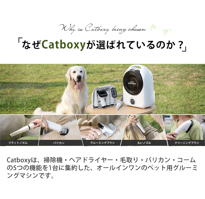 グルーミングセット 強力吸引 大容量 低騒音 猫犬用電動バリカン 自動吸引 Amazon.co.jp: SFUN ペットグルーミングセット 6 in 1多機能