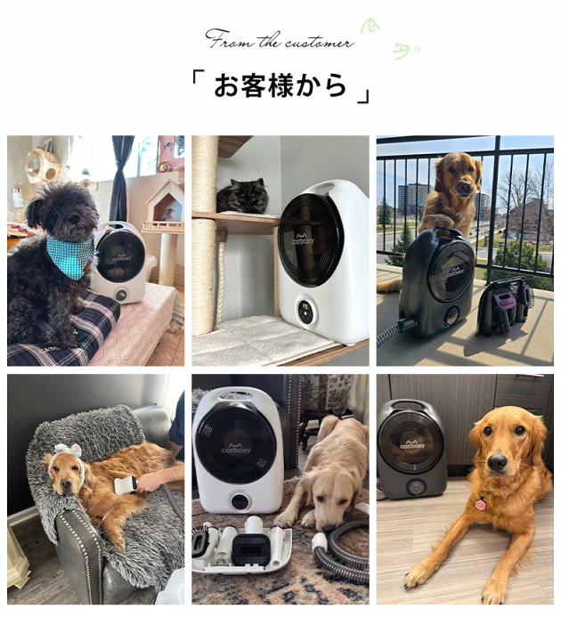楽天市場】【最大2年保証】ペットグルーミング バリカン 電動バリカン