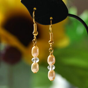 y300~ψzWp[sAXEVR΃sAX AM[Ή y`^sAX&COւ̖ύXz