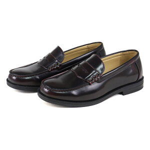 [t@[ w L 3E fB[X w [q[ ɂȂ ʊw v vC  F q ₷ w LbY WjA TCY ubN V[Y ꂢ 22.5-25cm No.3561 T