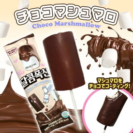 チョコマシュマロ棒　chocolate　marshmallow　バレンタイン　ホワイトデー　お配り　韓国　お菓子　ASMR　チョコマシュマロ