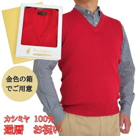 還暦 祝い カシミヤ 100% Vベスト ベスト メンズ 御祝 ちゃんちゃんこ の代わりに 男性 おしゃれ 赤 ニット おすすめ プレゼント 人気 送料無料 ブイネック Vネック セーター お祝い 熨斗 楽ギフ のし ギフト ラッピング 包装 60代 シニア 着心地 高級 宛書 S M L LL 700