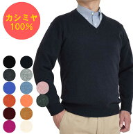 カシミヤ 100% Vネック セーター ニット メンズ トップス 大人 シンプルおしゃれ 軽い 無地 秋 冬 春 普…