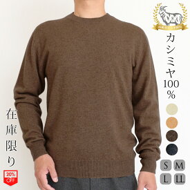 【在庫限り】カシミヤ 100% クルーネック ニット メンズ トップス 大人 シンプルおしゃれ 軽い 無地 秋 冬 春 普段着 オフィス ビジネス ブラウン ブルー S M L LL 650718s