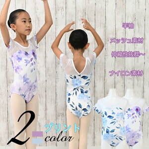 oG q I^[h LbY iC  oGI^[h 킢   bV F p[v 120 130 140 150 cl0308 ( _X ̑ oGpi V̑ zeemax )yb