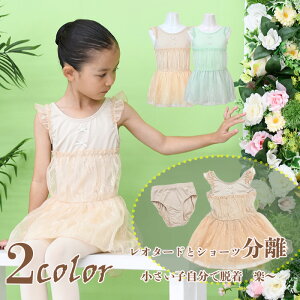 oG I^[h qTCY XJ[gt iCf V[c TCY hX^Cv 킢 Ey 110 120 cl0578 ( WjA ̑ oGpi V̑ zeemax )yb