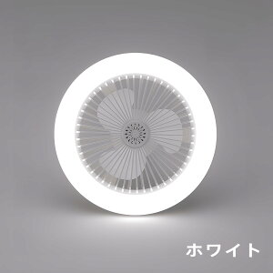 【送料無料】【2年保証】シーリングファンライト LED おしゃれ ファン付き照明 シーリングライト 口金E26対応 大風量 静音 調光調色 風量3段階 扇風機 軽量 小型 薄型 照明器具 carmotor 省エネ
