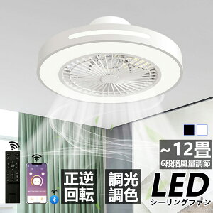V[Ot@Cg LED 10 ^ dc[^[ F VƖ  k Rt rO LED F Ɩ led dc[^[ t@ Cg  V[OCg @