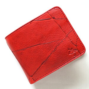 őސ XNGA[V[gEHbgTYPE-O- bhXJ[tFCX