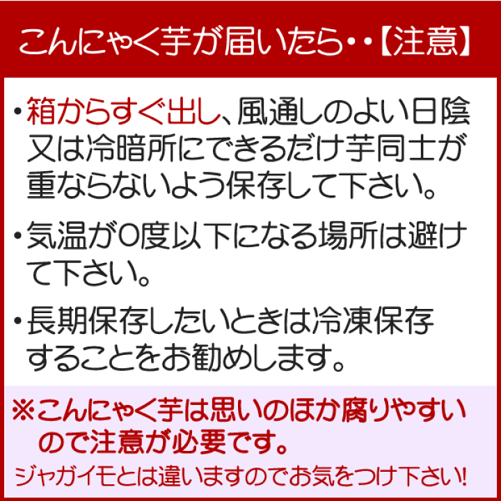 楽天市場】【群馬県2025年春堀・新鮮】☆生芋こんにゃく手作り用