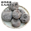 【群馬県2025年秋掘り・新鮮】★生芋こんにゃく手作り用こんにゃくいも★こんにゃく芋【Z】