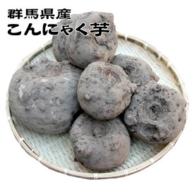 【群馬県2025年秋掘り・新鮮】★生芋こんにゃく手作り用こんにゃくいも★こんにゃく芋
