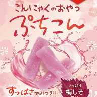 (こんにゃくのおやつ)ぷちこん【M】【メール便5袋まで】
