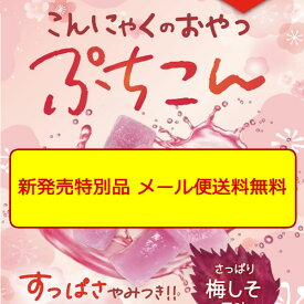 【新発売特別価格】(こんにゃくのおやつ)ぷちこん4袋【メール送料無料】