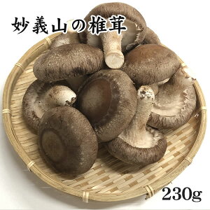 y`R̂zԂ񂿂̒ő(PʑI)