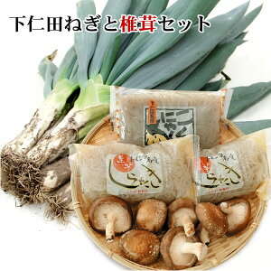 yzQnmcYE{̉mclM/Εɂmc˂ƒőZbg[NG-S]yyMt_̂zyꈶ͑ʓrz