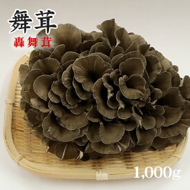 【妙義山のまいたけ：轟舞茸】東間さんちの舞茸[1000g](化粧箱入り)