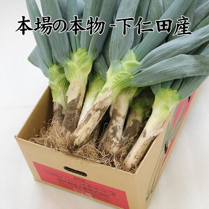 yzX̒nEQnmc炨͂I{̖{mclM/ΕEɂmc˂[NN-S][M`2LR~R~]yyMt_̂z