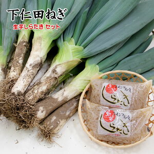 yzX̒nEQnmc炨͂I{̖{mclM/ΕEɂmc˂Ɛ炽Zbg[NG-K]yyMt_̂zyꈶ͑ʓrz