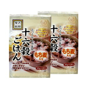 【お試し】贅沢穀類 十六穀ごはん 個包装 180g(30gx6小袋)x2袋セット 送料無料 豆入り もち麦 キヌア アマランサス カニワ 配合 無添加 無着色【メーカー直送】雑穀 雑穀米 雑穀ごはん 十六穀 黒米 もちもち 豆入り十六穀 混ぜるだけ