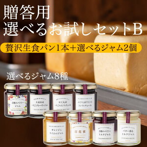 【お歳暮にいかがでしょうか】★TVで紹介された「しっとりもちもち」高級食パン★【贈答用選べるお試しセットB】【送料無料】パン 贅沢 福岡 美味しい 生食パン 食パン お土産 ギフト 手