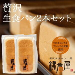 yΕɂł傤zykCYo^[100gpzTVŏЉꂽ̂ƂHp yґ򐶐Hp2{ZbgzHp p ґ p   Hp 