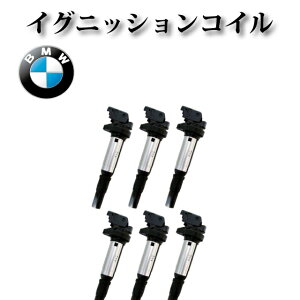 �yBMW 5�V���[�Y F07 F10 F11�z�C�O�j�b�V�����R�C�� 0221504800 12138657273 12137571643 12137594937 6�{�g