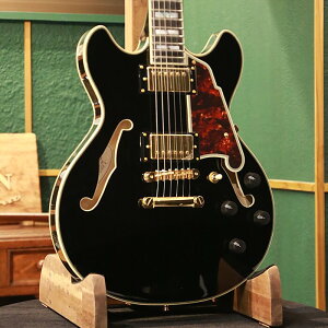 yAEgbgZ[z D'Angelico fBAWFR GLM^[ Excel Mini DC, Black Z~zE{fB  _JPU