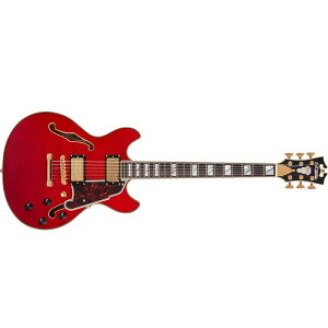 y{Z[z D'Angelico fBAWFR GLM^[ Excel Mini DC, Trans Cherry Z~zE{fB  _JPU