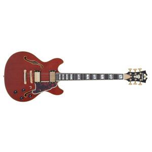 y{Z[z D'Angelico fBAWFR GLM^[ Excel Mini DC, Viola Z~zE{fB  _JPU