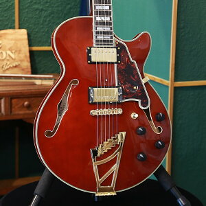 アウトレットセール ストラッププレゼントキャンペーン D'Angelico ディアンジェリコ エレキギター セミアコ Excel SS Viola ホロウボディ