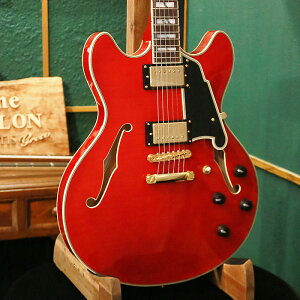 yAEgbgZ[zXgbvv[gLy[ D'Angelico fBAWFR GLM^[ Z~AR Excel DC Trans Cherry zE{fB nobJ[