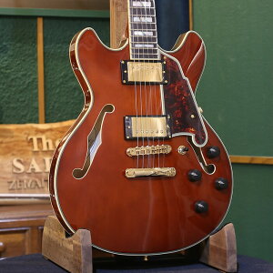 �y�A�E�g���b�g�Z�[���z D'Angelico �f�B�A���W�F���R �G���L�M�^�[ Excel Mini DC, Viola �Z�~�z���E�{�f�B �� �_���J��PU