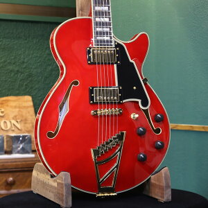 �y�A�E�g���b�g�Z�[���zD'Angelico �f�B�A���W�F���R �G���L�M�^�[ �Z�~�A�R Excel SS Trans Cherry �z���E�{�f�B