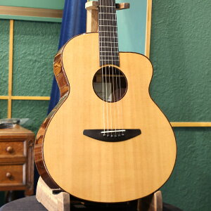 Baden x[f AR[XeBbNM^[ A-style SR, N.V.S Specification ARM