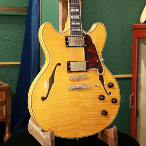 D'Angelico fBAWFR GLM^[ Z~AR Excel DC Vintage Natural i` zE{fB nobJ[