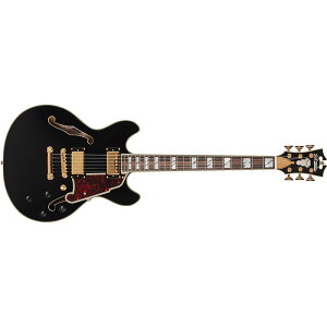 {Z[ D'Angelico fBAWFR GLM^[ Excel Mini DC, Black Z~zE{fB  _JPU